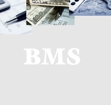 Bill Management System